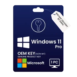 Windows 11 Pro